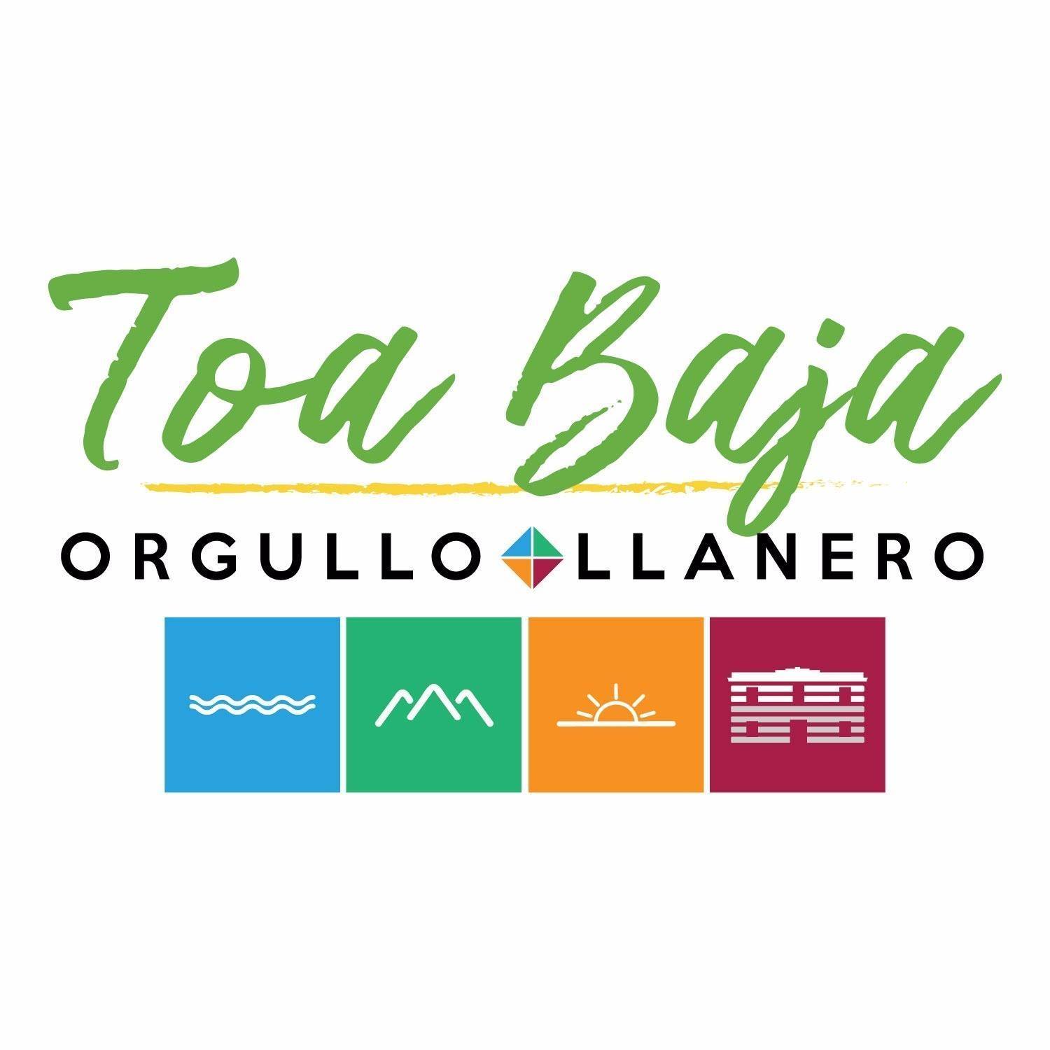 Departamento de planificacion, Vivienda, Programas Federales y Ordenacion Territorial - TOA BAJA MUNICIPIO 